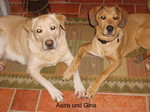 Astra und Gina 